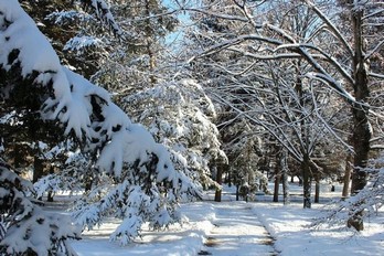 Парк зимой в санатории Украина города Ессентуки