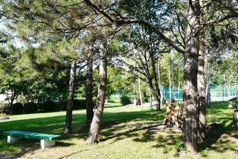 Парк в санатории Жемчужина Кавказа в городе Ессентуки