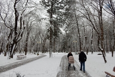 КМВ. Ессентуки аллея парка зимой