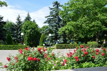Оформление парка в санатории имени Кирова в Пятигорске
