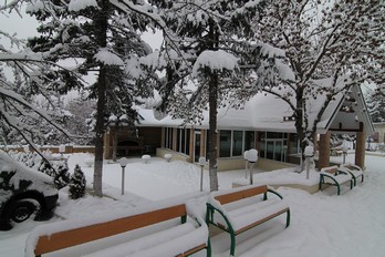 Территория санатория Пятигорский Нарзан в январе- городу-курорт Пятигорск