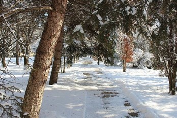 Санаторий Украина в Ессентуках- парк зимой