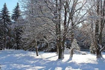 Парк санатория Украина в городе Ессентуки зимой