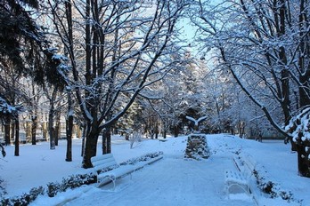 Зимний парк санатория Украина города Ессентуки
