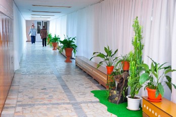 Крытый переход в лечебный корпус санатория Дубрава - город Железноводск